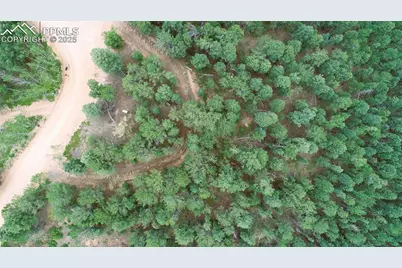 329 Paradiso Road, Divide, CO 80814 - Photo 21