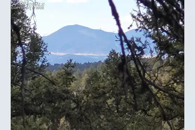 329 Paradiso Road, Divide, CO 80814 - Photo 5