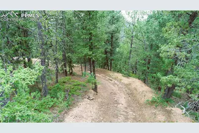 329 Paradiso Road, Divide, CO 80814 - Photo 23