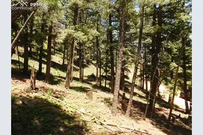 Lot 11 Woodmoor West Drive, Larkspur, CO 80118 - Photo 17