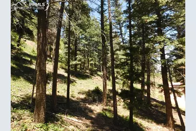 Lot 11 Woodmoor West Drive, Larkspur, CO 80118 - Photo 13