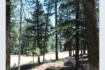 Lot 11 Woodmoor West Drive, Larkspur, CO 80118 - Photo 15