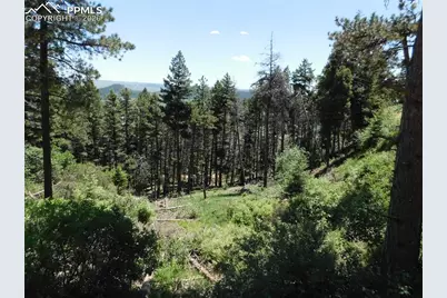 Lot 11 Woodmoor West Drive, Larkspur, CO 80118 - Photo 43