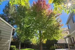 6005 Whirlwind Dr, Colorado Springs, CO 80923 - Photo 41