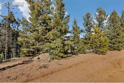 191 Nuaku Road, Florissant, CO 80816 - Photo 3