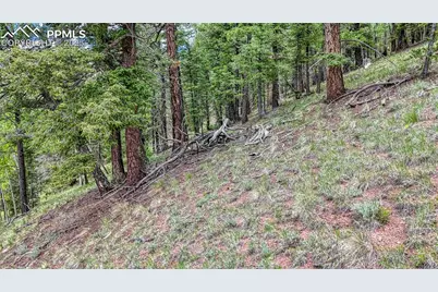 626 Little Topsey Drive, Cripple Creek, CO 80813 - Photo 19