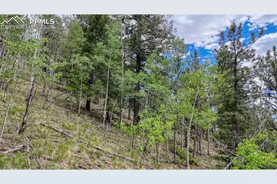 626 Little Topsey Drive, Cripple Creek, CO 80813 - Photo 17