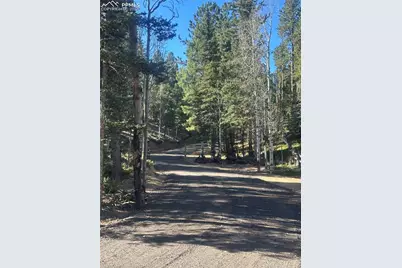 458 Spruce Lake Drive, Divide, CO 80814 - Photo 43