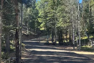 458 Spruce Lake Dr, Divide, CO 80814 - Photo 43