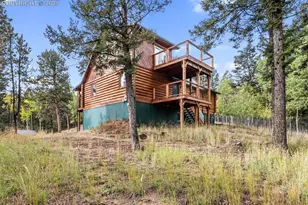 458 Spruce Lake Dr, Divide, CO 80814 - Photo 41