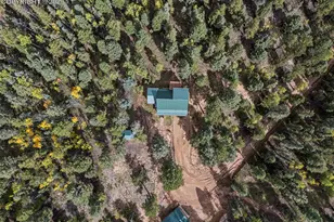 458 Spruce Lake Dr, Divide, CO 80814 - Photo 35