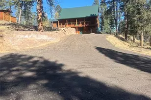 458 Spruce Lake Dr, Divide, CO 80814 - Photo 45