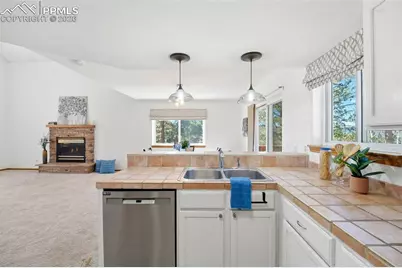 1100 Pine Ridge Road, Woodland Park, CO 80863 - Photo 9