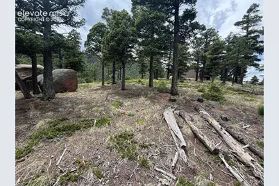 254 Grand Horizon View, Manitou Springs, CO 80829 - Photo 13
