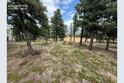 254 Grand Horizon View, Manitou Springs, CO 80829 - Photo 19