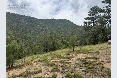 254 Grand Horizon View, Manitou Springs, CO 80829 - Photo 23