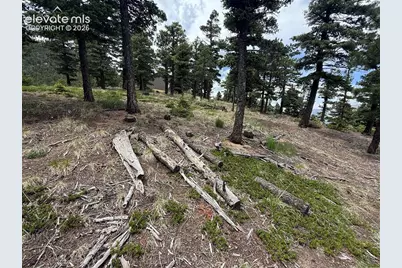 254 Grand Horizon View, Manitou Springs, CO 80829 - Photo 15