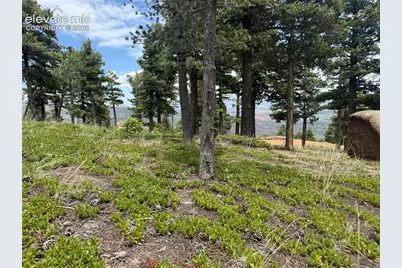 254 Grand Horizon View, Manitou Springs, CO 80829 - Photo 1