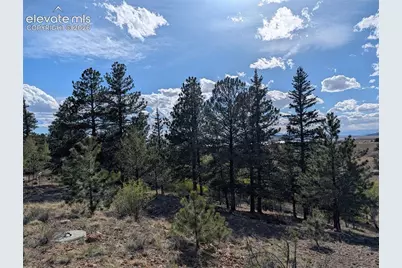 163 Cutthroat Drive, Lake George, CO 80827 - Photo 5