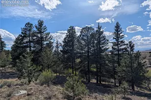 163 Cutthroat Dr, Lake George, CO 80827 - Photo 5