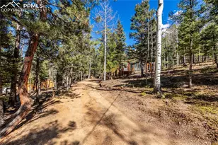 44 Anderson Rd, Florissant, CO 80816 - Photo 31