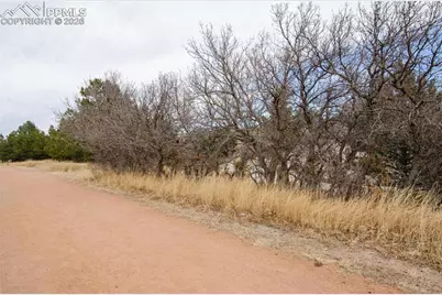 784 Century Lane, Monument, CO 80132 - Photo 43