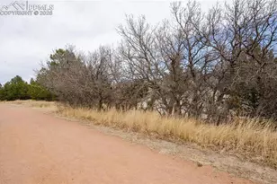 784 Century Ln, Monument, CO 80132 - Photo 43