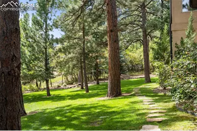 740 Silver Oak Grove, Colorado Springs, CO 80906 - Photo 39