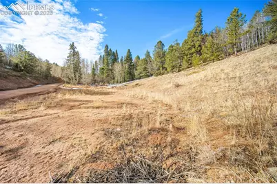 213 Willow Road, Divide, CO 80814 - Photo 41