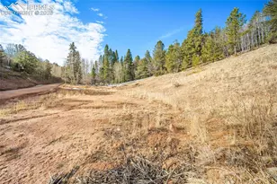 213 Willow Rd, Divide, CO 80814 - Photo 41