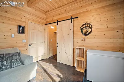 213 Willow Road, Divide, CO 80814 - Photo 29