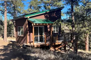 254 E Cobb Ln, Guffey, CO 80820 - Photo 29