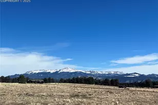 254 E Cobb Ln, Guffey, CO 80820 - Photo 47