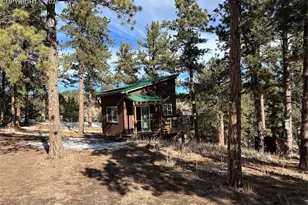 254 E Cobb Ln, Guffey, CO 80820 - Photo 13