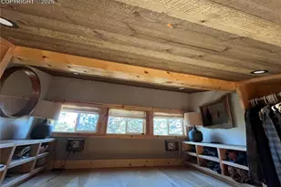 254 E Cobb Ln, Guffey, CO 80820 - Photo 17