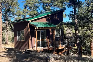 254 E Cobb Ln, Guffey, CO 80820 - Photo 27