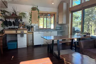 254 E Cobb Ln, Guffey, CO 80820 - Photo 5