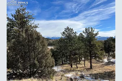 254 E Cobb Lane, Guffey, CO 80820 - Photo 43