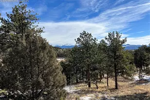 254 E Cobb Ln, Guffey, CO 80820 - Photo 43