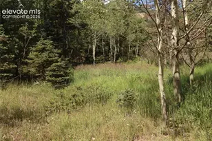 208 Coffee Rd, Manitou Springs, CO 80829 - Photo 1
