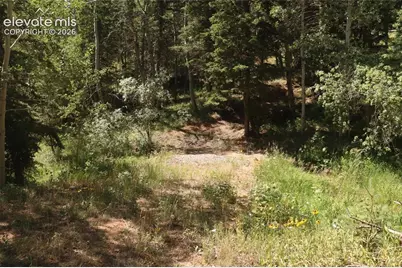 208 Coffee Road, Manitou Springs, CO 80829 - Photo 7