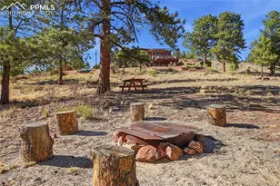 556 Circle Dr, Florissant, CO 80816 - Photo 43