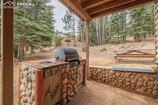 37 Silbani Ln, Florissant, CO 80816 - Photo 27