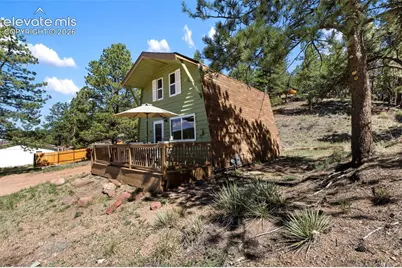 301 Circle Drive, Florissant, CO 80816 - Photo 35