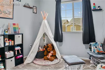 7649 Grand Fir Point, Colorado Springs, CO 80908 - Photo 17