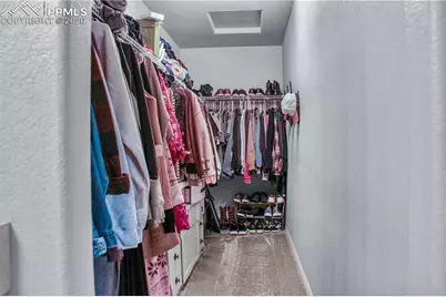 7649 Grand Fir Point, Colorado Springs, CO 80908 - Photo 13