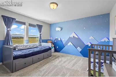 8442 Noreen Falls Drive, Colorado Springs, CO 80924 - Photo 19