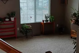 6680 Kari Ct, Colorado Springs, CO 80915 - Photo 5