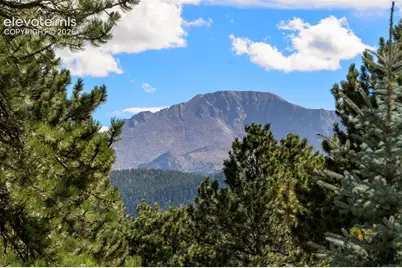 2441 Glen Cove Drive, Woodland Park, CO 80863 - Photo 13