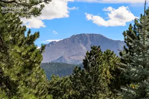 2441 Glen Cove Dr, Woodland Park, CO 80863 - Photo 13